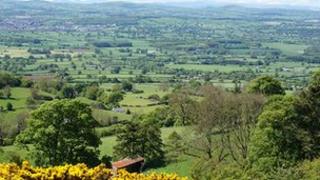 A view of the Clwydian Range from Penycloddiau