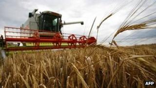 Combine Harvester