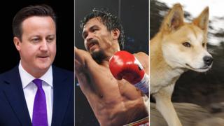 David Cameron, Manny Pacquiao and a dingo
