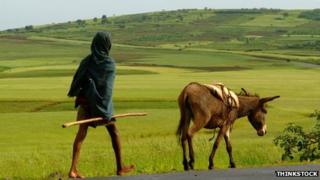 Man with donkey in Ethiopia