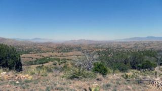 Wasp Canyon