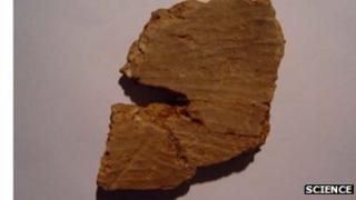 Fragment from a 20,000 year old bowl found in Southern China