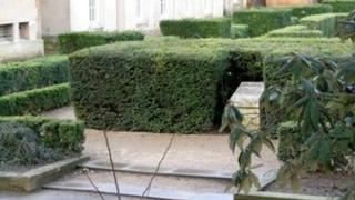 Rose Garden