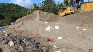 A Ministry of Works employee operates a bulldozer next to destroyed leatherback turtle eggs and hatchlings on Grande Riviere Beach in Trinidad