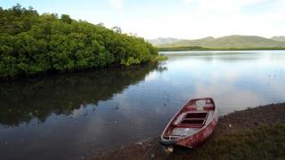 Mangroves