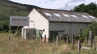 Margaid-sprèidh Roghairt