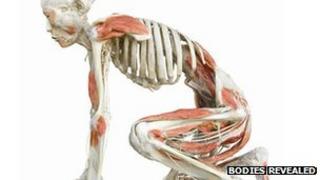 Bodies Revealed