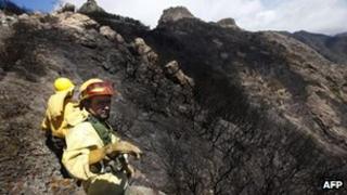 Firefighters stand amongst burnt trees after the passage of a wildfire at the National Park of Garajonay, on the Spanish canary island of La Gomera, last Tuesday