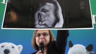 Ultrasound image of Vienna zoo's elephant in womb, 14 Aug 12