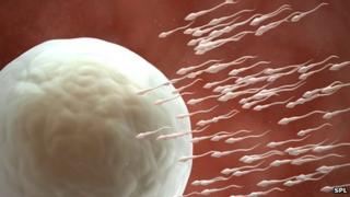 Сперма приближается к яйцеклетке