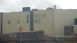 Melin Bapur Shotton