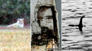Picture of big cat, image of Jesus in a wall and Loch Ness Monster sighting