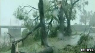 Trees downed in Hamheung, North Korea