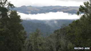 Mount Kenya (Photo from the Rhino Ark website)