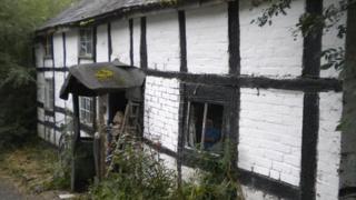 The cottage near Llanidloes