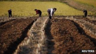 File photo: North Korean farmers, September 2011