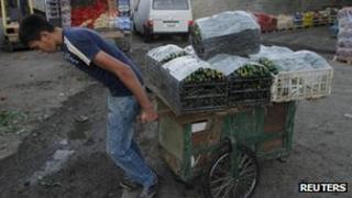 A worker pulls a cart loaded with cucumbers near Nablus, West Bank. Photo: September 2012