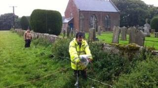 Volunteers are carrying out a non-invasive survey of the site