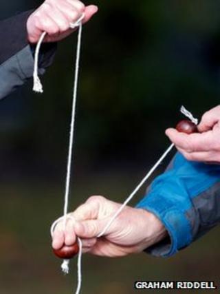 Conkers