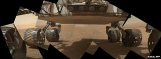 Underbelly of Curiosity