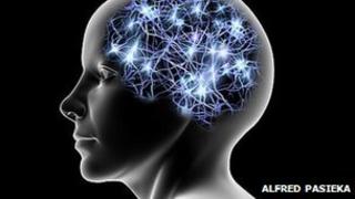 Neural connections in brain