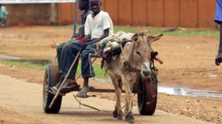 Boys ride a donkey (archive shot)