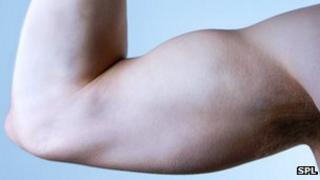 biceps
