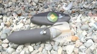 The satellite tag which is missing