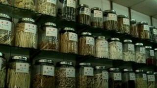 A Chinese medicine shop