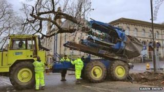 The tree being moved