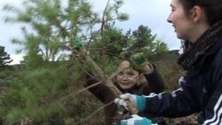Heathland conservation work