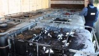 The plant was raided by Customs and police