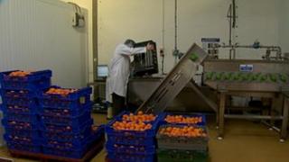 Juicing firm