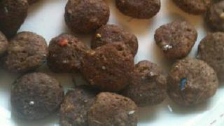 Contaminated dog food