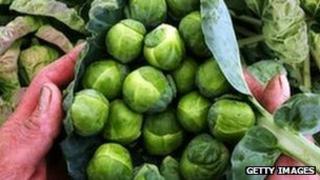 A farmer holds some sprouts