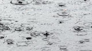 Rain