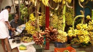 Stall selling bananas
