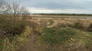 Seacroft Marsh