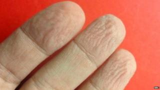 Fingers