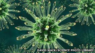 HIV particles