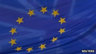 EU flag