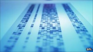 Genetic analysis