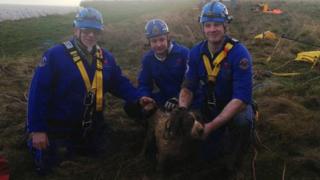Andy Rutson-Edwards, Steve Duggan and James Whitfield with Buddy