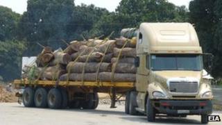 Truck carrying timber in Mozambique