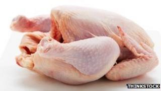 chicken