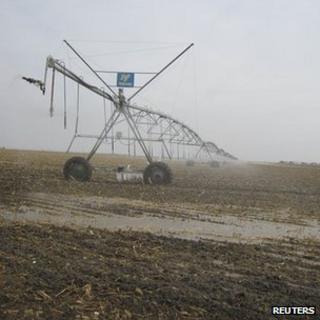 Agriculture sprinkler system (Image: Reuters)