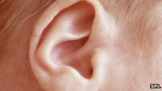 Baby's ear
