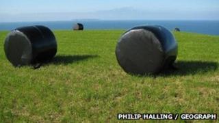 Bèilichean silage