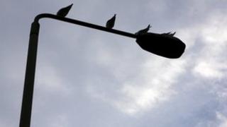Lamp post