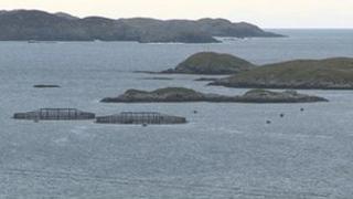 Bàigh na Hearadh
